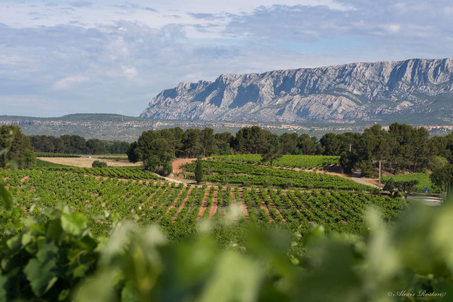 Sainte-Victoire, par Alexis Rostan Photographie
